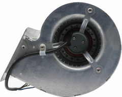 D2E097-BK66-48