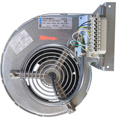 front view of D2D160-BE02-11 Ebm-papst Blower Fan