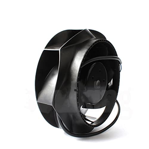 R1G175-RB33-G01