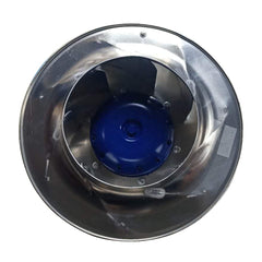 RH31C-2DK.3I.1R