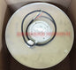 RH50M-4EK.6K.1R ZIEHL-ABEGG centrifugal fan front view